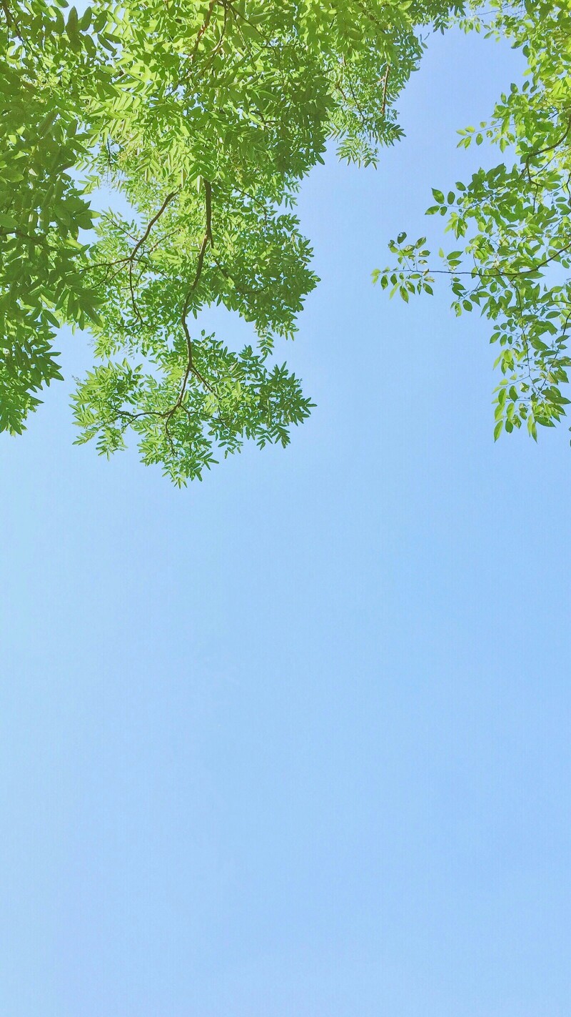 5c52ebeb7f070eee292dd3c3