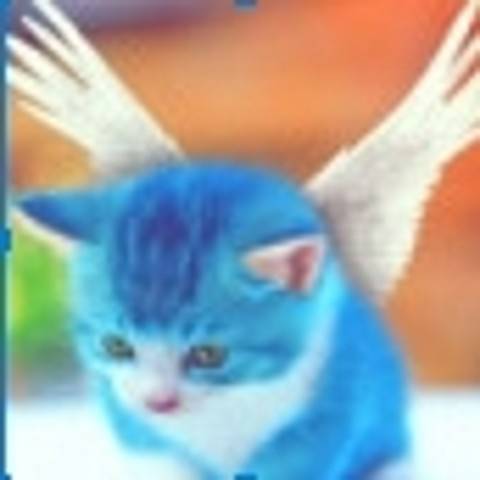 55ee1761ab32fe223b424f04