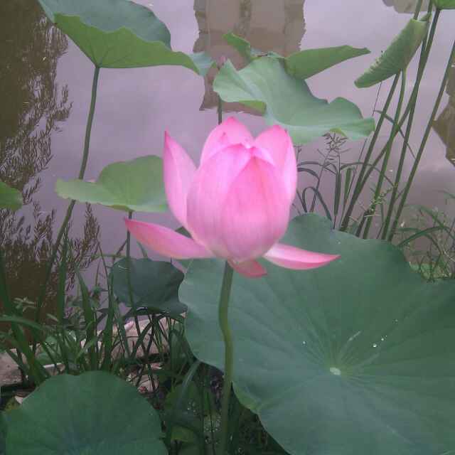 593663ed0b8429ad488c3aa3