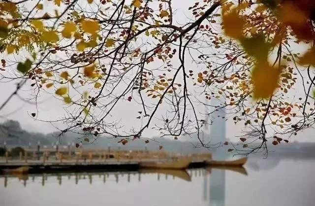 我的赞赏码