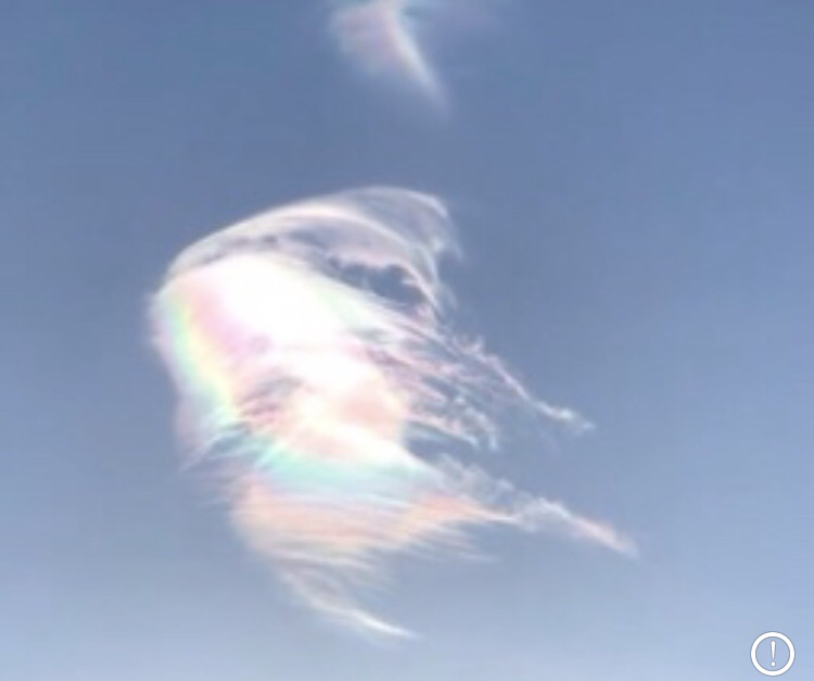 5c0f8f8e0637d1239e52b6f5