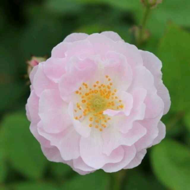 570a1d08ac983aaf316bad6b