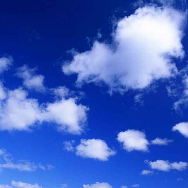 56172521f23044926c531686