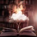 61905532d906694091b83cdf