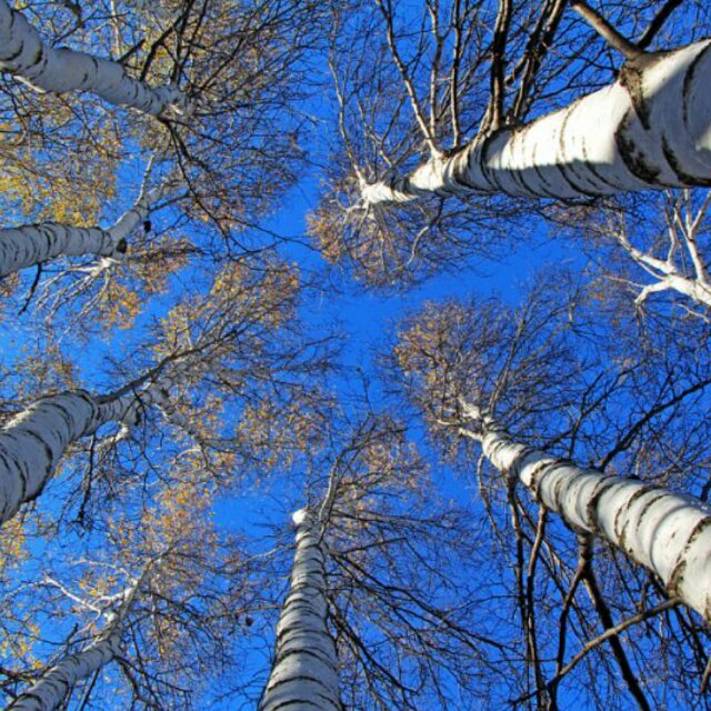 574bc5c7ef81dbf043dd4ef3