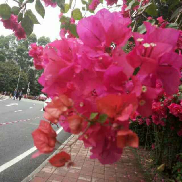 595f6c9a15d86aa03980db43