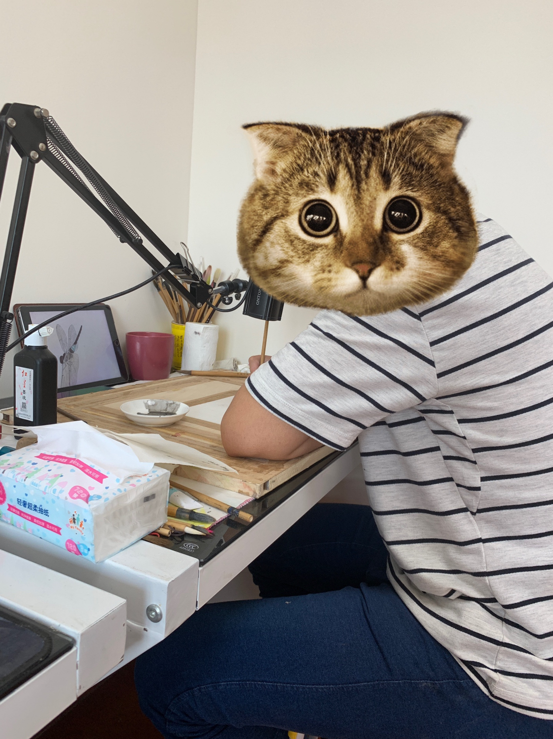 5ad3ee47455a421d0399f61d