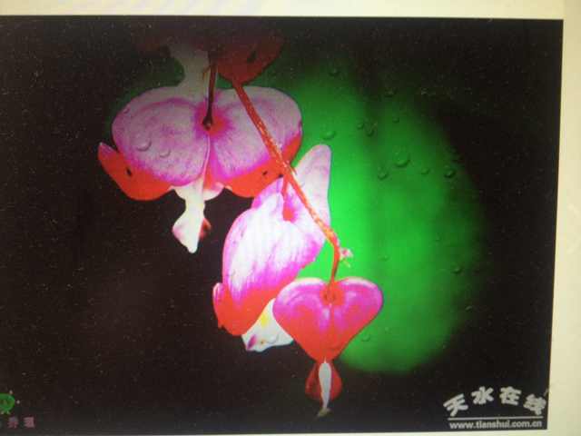 5613cc3cf75cd2854f589c44