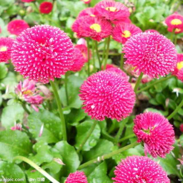 5891d7e7a2d735fa241fc2c9