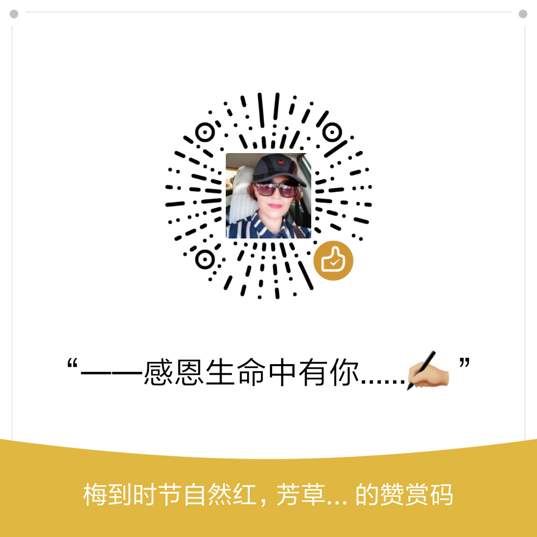 我的赞赏码