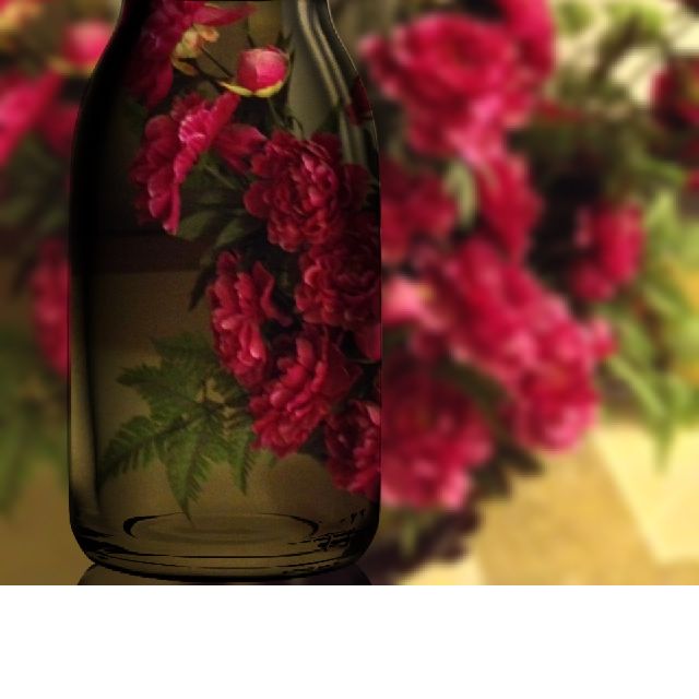 55ad2ff9baa52bad3c87f333