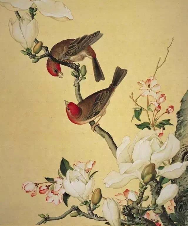 我的赞赏码