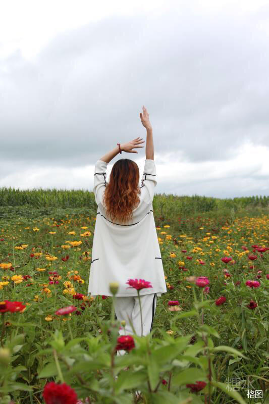 现代女孩拍背影背影玫瑰更靓丽不信你瞧瞧