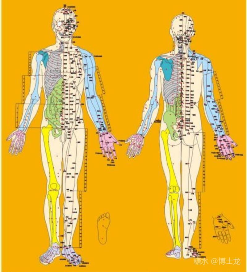 人体系統解剖学南山堂大阪販売中www.unamec.com.br