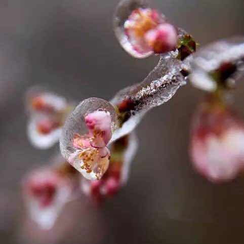 59e30ee9f140079305b5c330