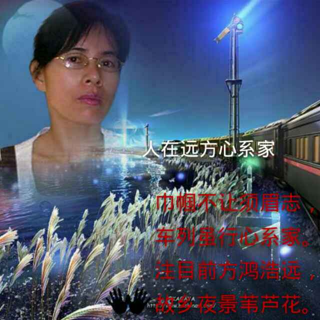 56cef62ccf76ffd770898d8d