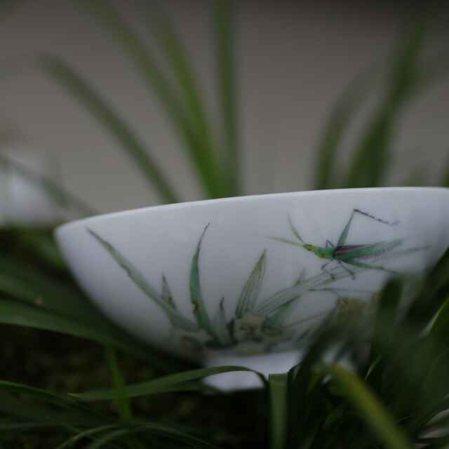 576ccab0a50f59320f86deaa