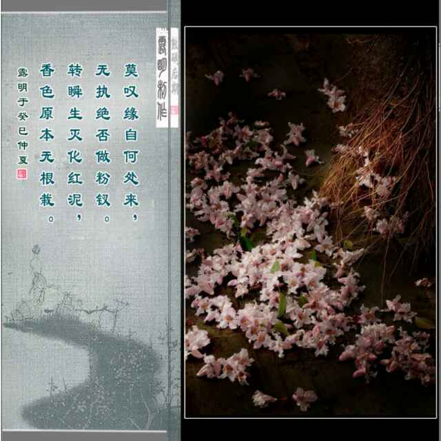 56971853ea686dea098b51be