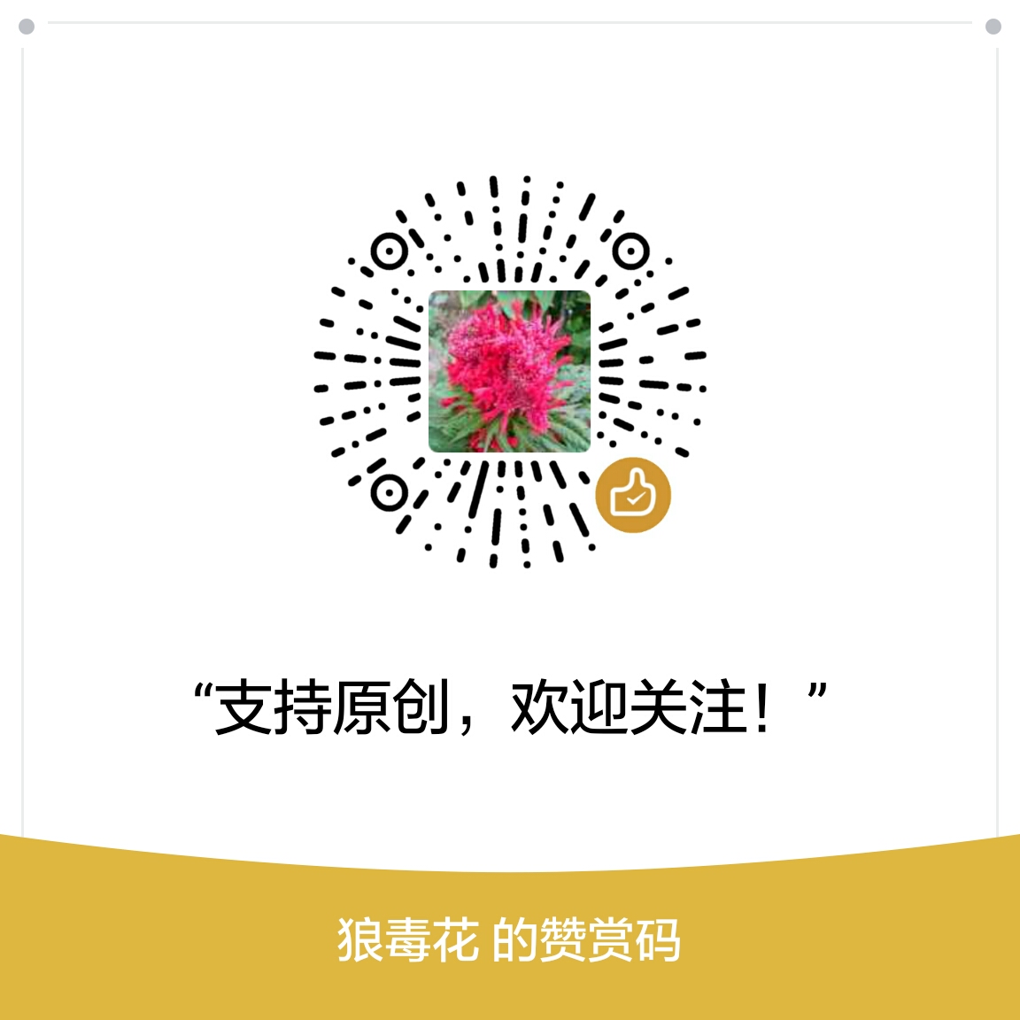 我的赞赏码