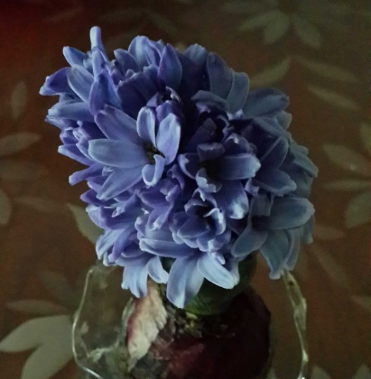 563abe1ae782444d2b0a2cf7