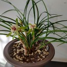 640e5d66571bb059942fb781