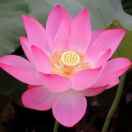 5a9a740377f4cee05ef829ac