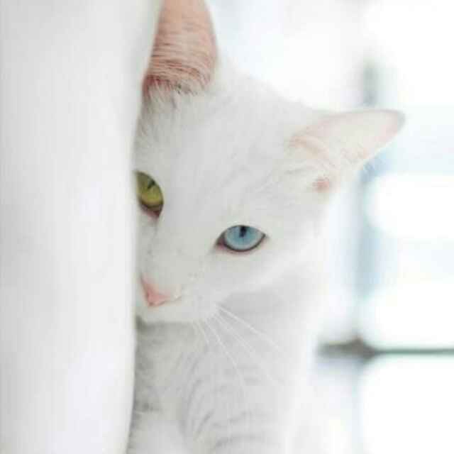 55bdbb753022c17948b55abc