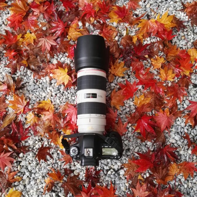 563f1a15fbb3f0021401ba10