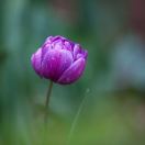 563dd27c5869d0d8194b2b20