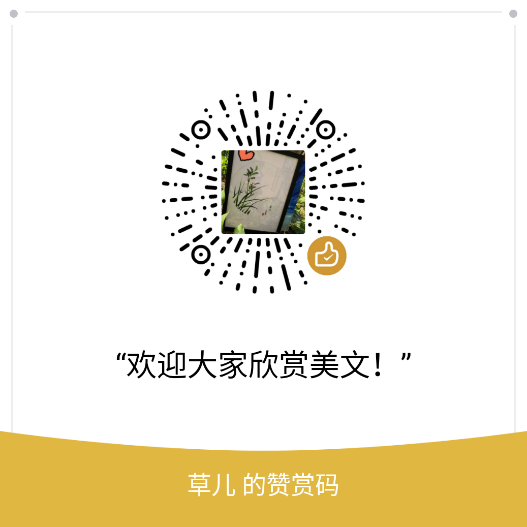 我的赞赏码