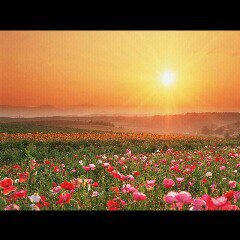 5bece78944edf2e404754f3e