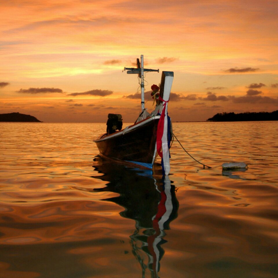 56d4553aa249018751ed53dd