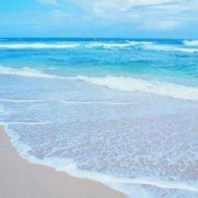 571b53de38e2d32e1e3d31f3