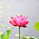 56ec0506165b4d3507ca50e0