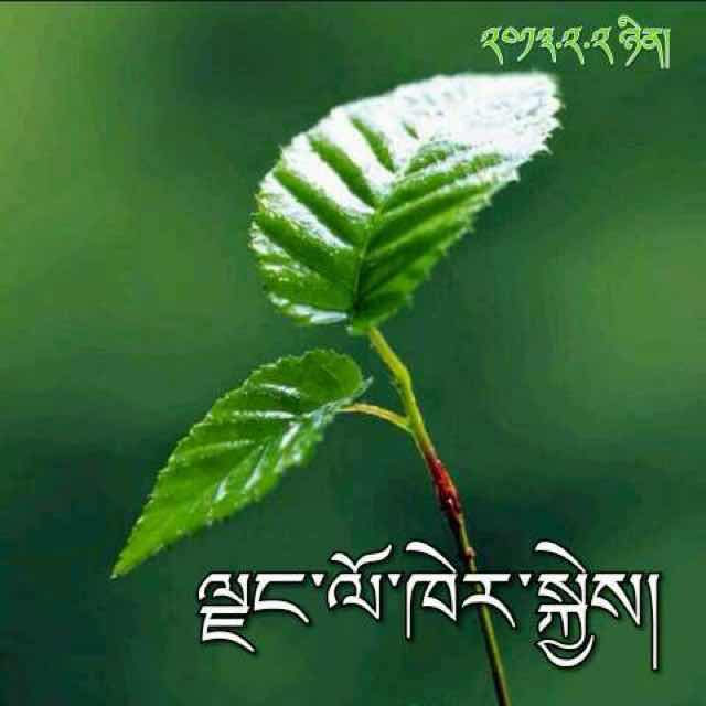 57a93abd9736bde936eddead
