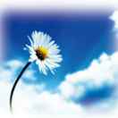 56accecff89ab15e6443953e