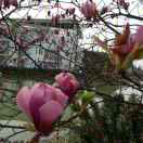 5baaf695d6fe2a14f46a7fb0