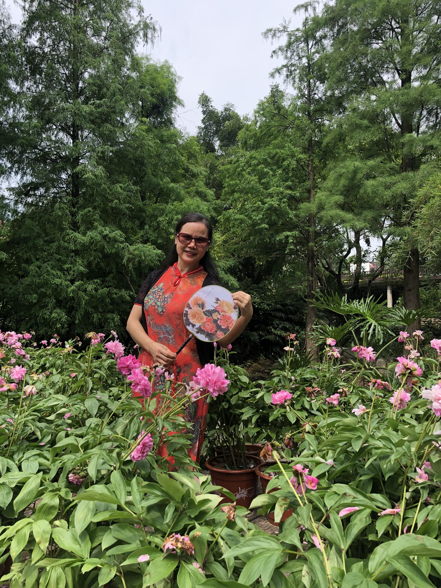 5b756b4cf8b8c1154fc0d886