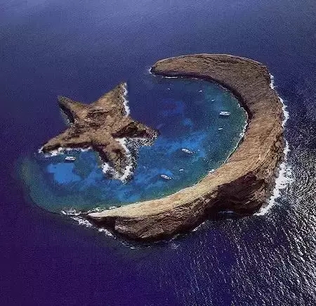我的赞赏码