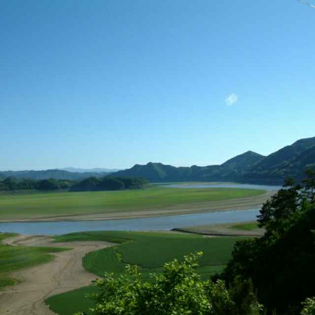 55e36a10d767f231687bdbd3