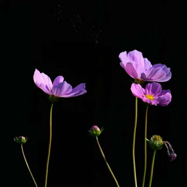 56a0b0a1cf8757e24ad1c03a