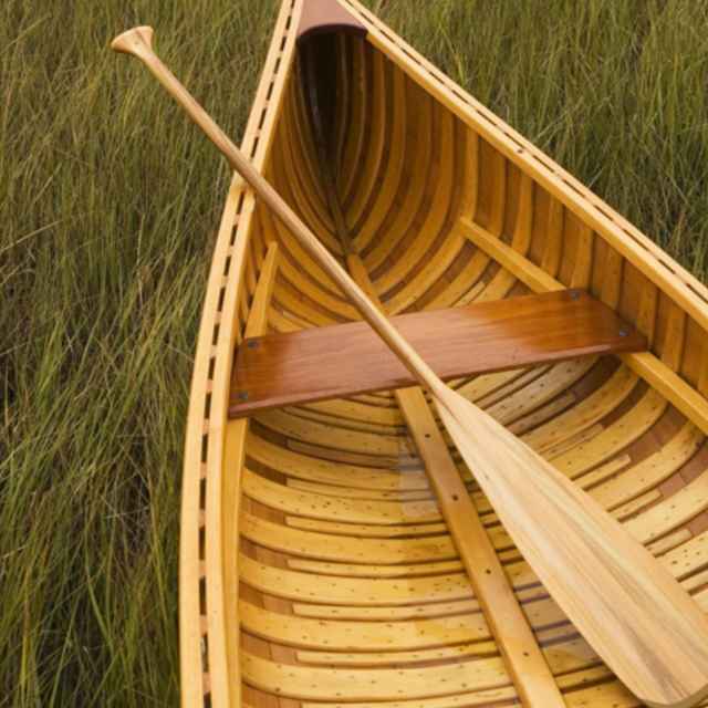 5658ef1041acaa2f588f7c2a