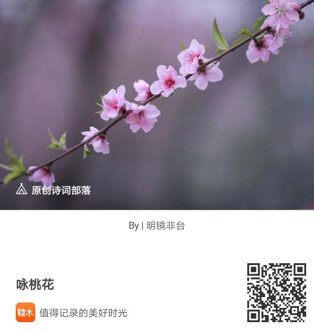 我的赞赏码