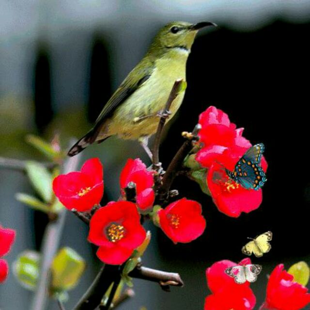 572760ec54703cdc3f099c09