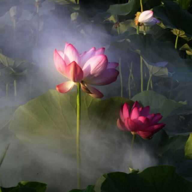 56836d1103f8dc1c0ba117d9