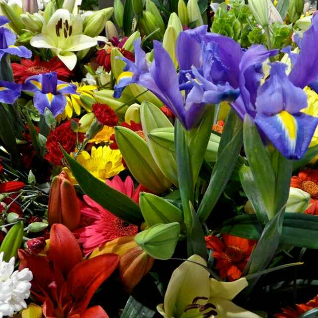 56361085594141f309f2931b