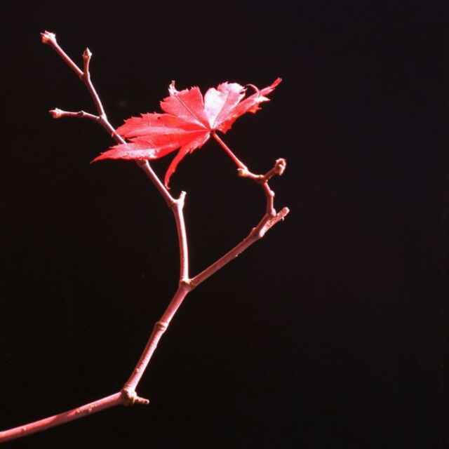 556b0fc5f467143e0577c0cf