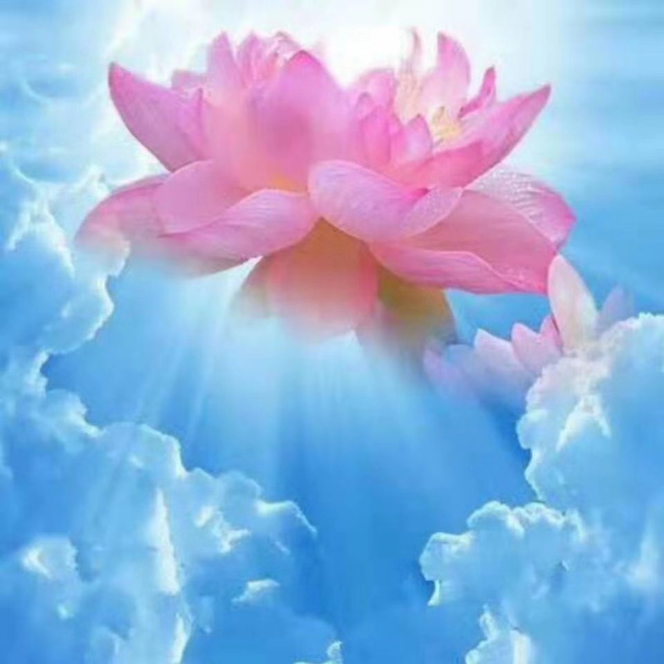 5ed6bb794da48f2337efcdfc