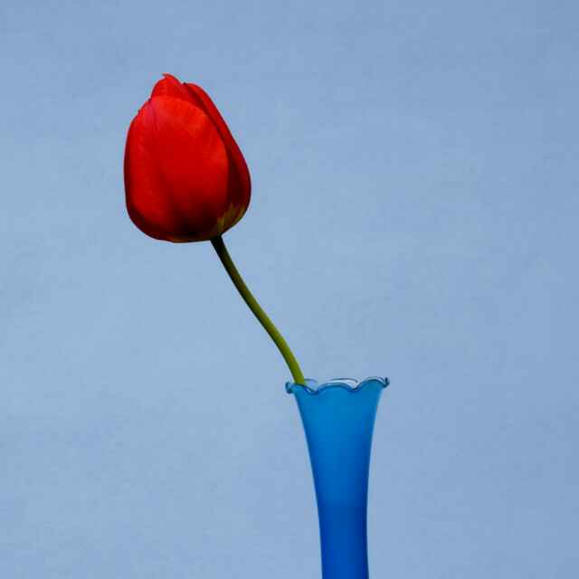 58ee227fd1acb7536682e1e7