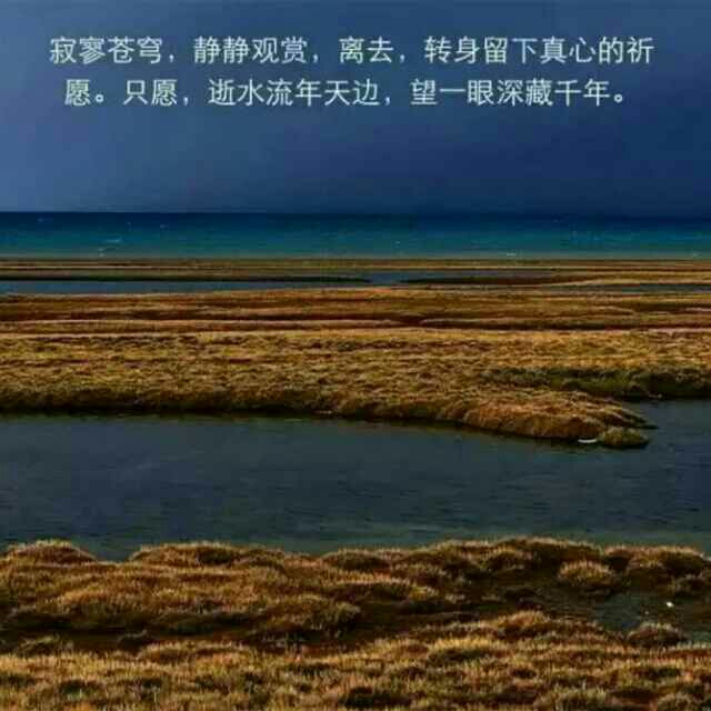 5641511332c0c38412b12f01